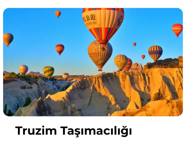 Truzim Taşımacılığı